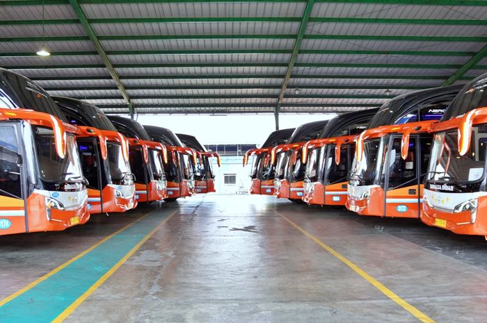 Ini Sejarah dan Pemilik PO Rosalia Indah, Awal Merintis Cuma Modal 1 Colt Diesel