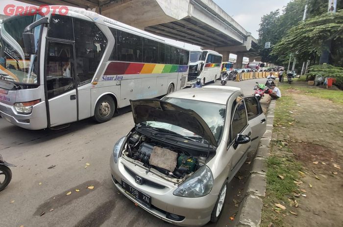 Awas Semut Bisa Bikin Mobil Mogok, Komponen Ini yang Diserang