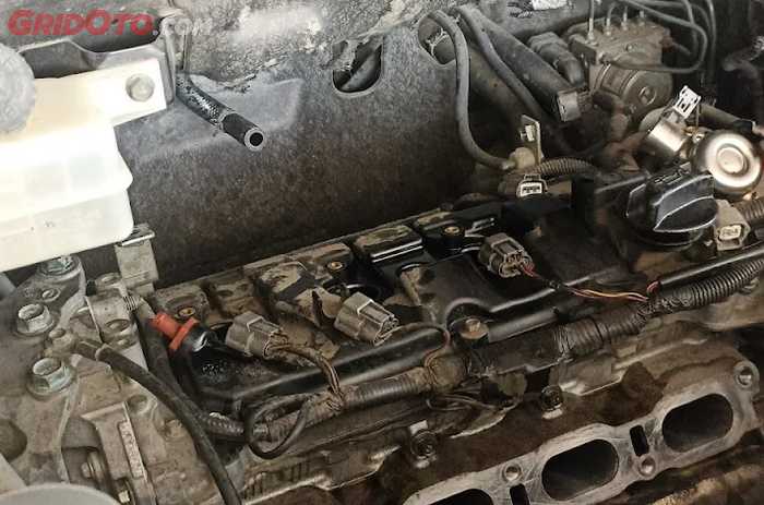 Cegah Tikus Masuk ke Ruang Mesin Mobil, Ini Langkah dan Tips nya!