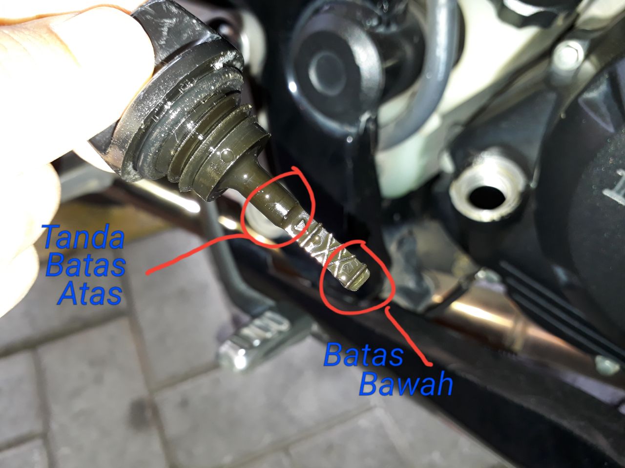 Cara Yang Benar Cek Volume Oli Mesin Motor Bekas dari Dipstik Tutup Oli