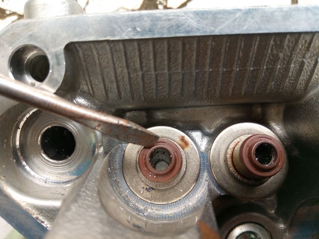 Ternyata Ganti Sil Klep Motor Bekas Tiap Bulan Segini, Knalpot Bebas Ngebul