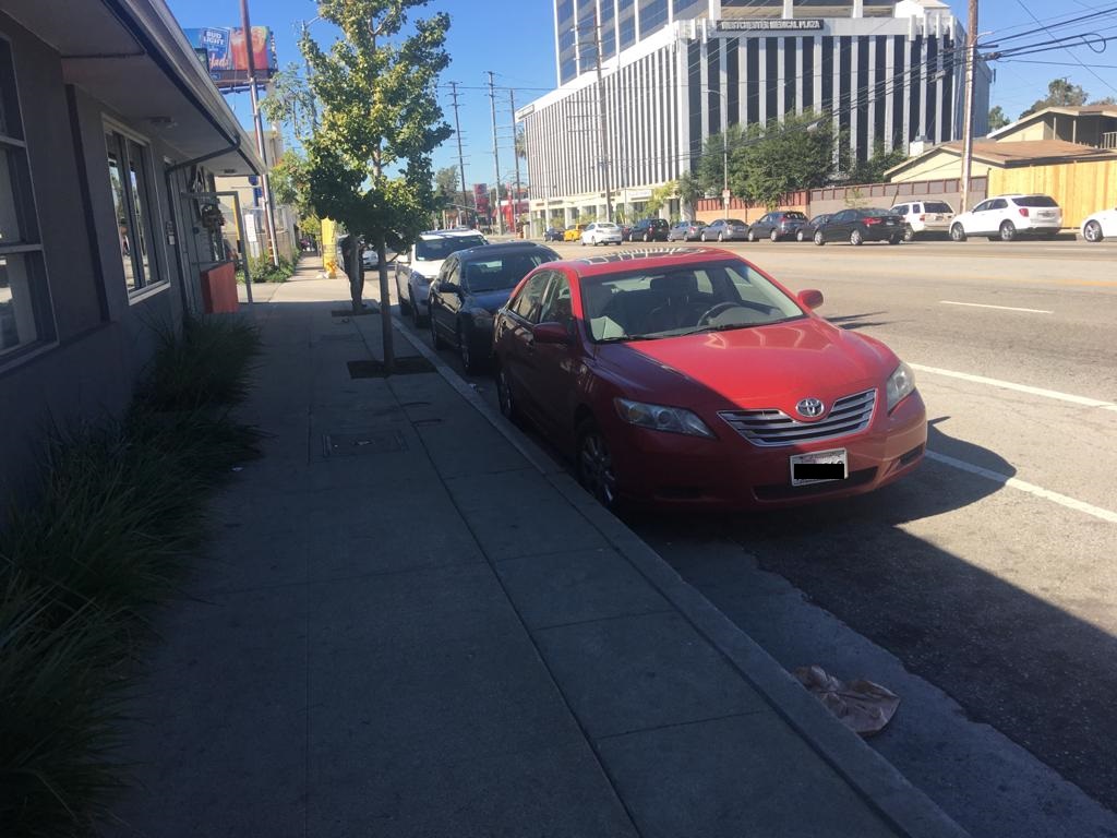 Alih Fungsi, Ini Alasan Orang Amerika Suka Parkir di Tepi Jalan Meski Punya Garasi