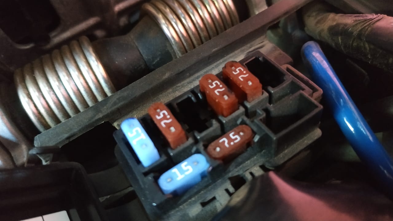 Cara Beli Sekring Motor Berkualitas Bagus di Pasaran, Simak Triknya