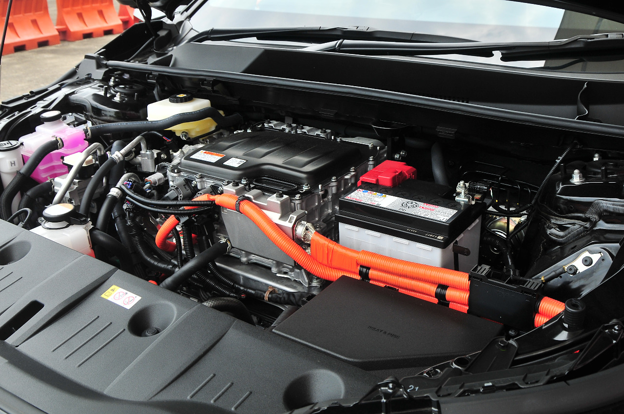 Baru Tahu, Kabel Mobil Listrik Lebih Rentan Digigit Tikus Karena Bahannya Mengandung Ini