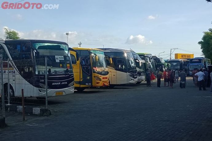 Ribuan Tiket Bus Mudik Gratis Disiapkan Askrindo, Ini Rute dan Tanggal Pendaftarannya