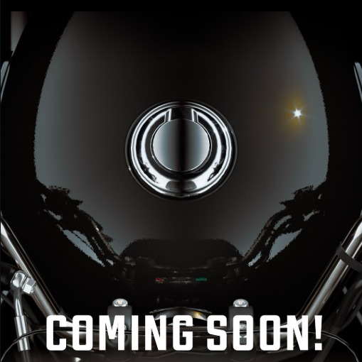 Terungkap, Royal Enfield Luncurkan Motor Baru Ini Di IIMS 2026