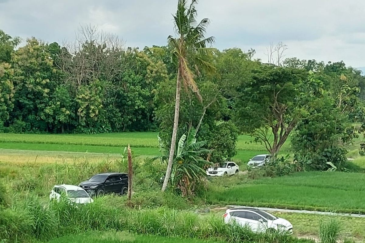 Kena Tipu, Ratusan Mobil Tersasar Masuk Area Sawah saat Menuju Gerbang Tol Purwomartani