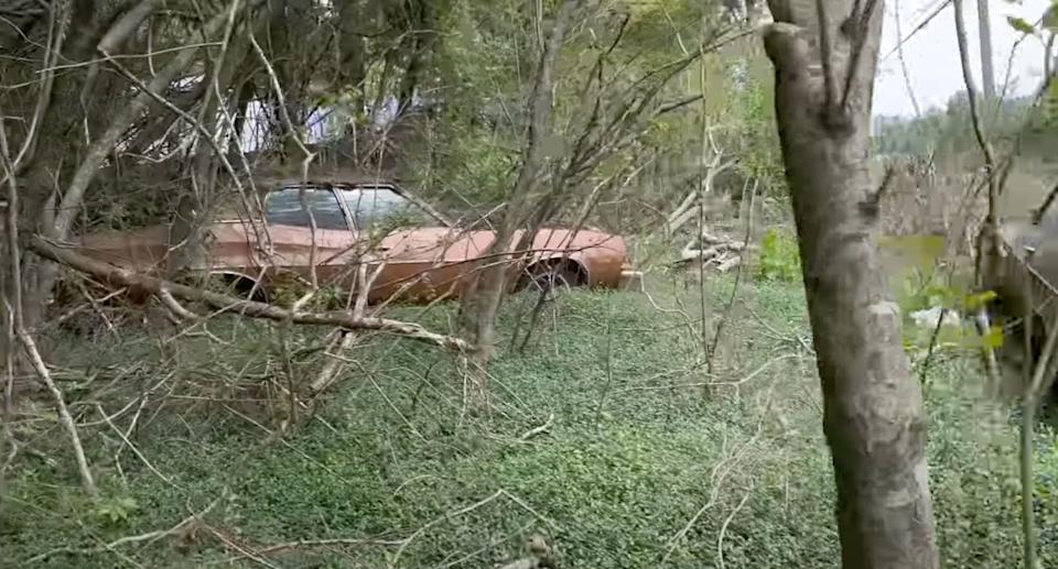 There Are 4000 Vehicles Hidden On This Property