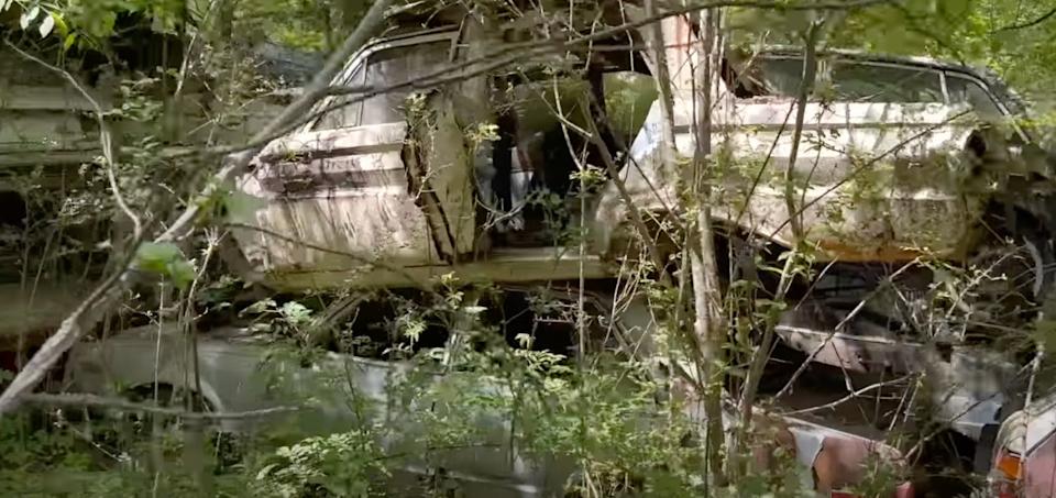 There Are 4000 Vehicles Hidden On This Property
