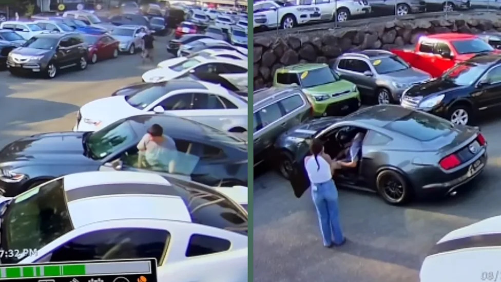 Test Driving a Manual Mustang Took a Very Expensive Turn in Seconds Over One Small Mistake