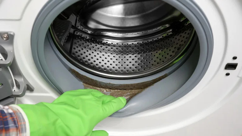 Can You Wash Car Mats In A Washing Machine?
