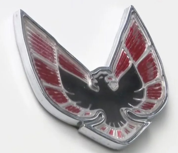 Reunited After a Decade: Michigan Family Brings Late Father's 1978 Pontiac Trans Am Home