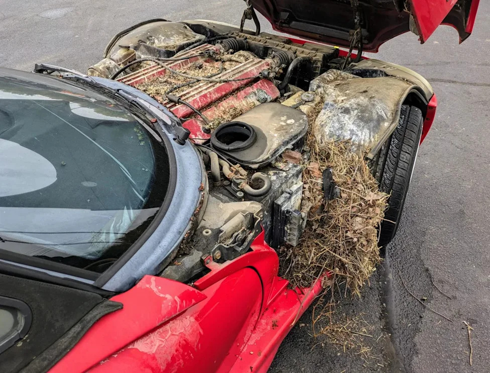 Dodge, Dodge Viper, Dodge Viper Spent 28 Years Mounted on a Pole — Here's What They Discovered When It Finally Came Down