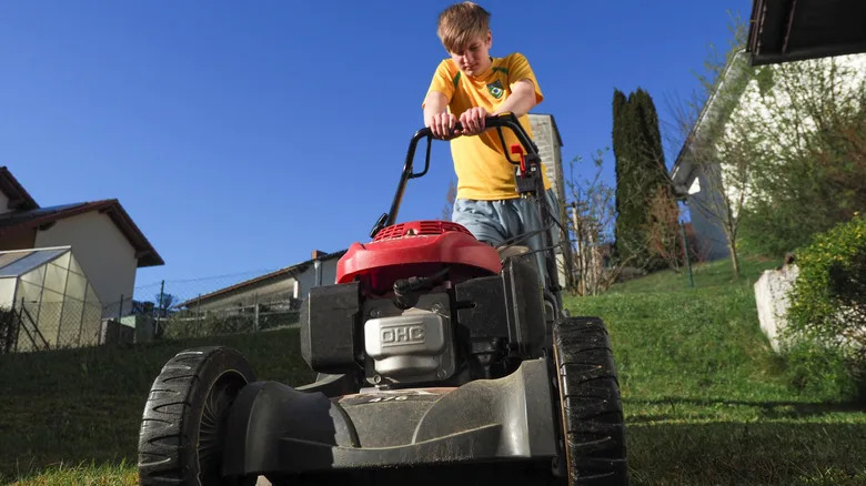 Who Makes Honda's Lawn Mower Engines &amp; Where Are They Built?