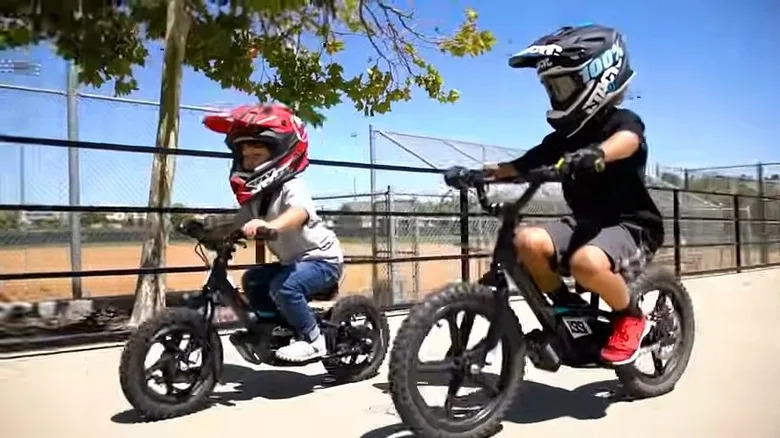 The Forgotten Bicycle Chapter Of Harley-Davidson