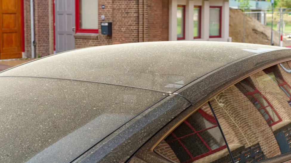 There's A Good Reason Why You Should Immediately Wash Pollen Off Your Car