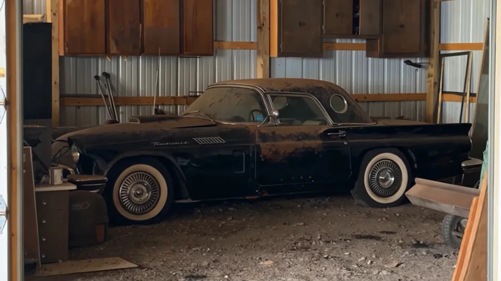 Ford, Iconic '50s Ford Totally Transforms After First Detailing In Over A Decade