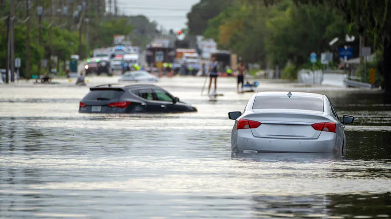 Shelby Cobra Buyer Quickly Learns Why Flooded Cars Sell For So Cheap