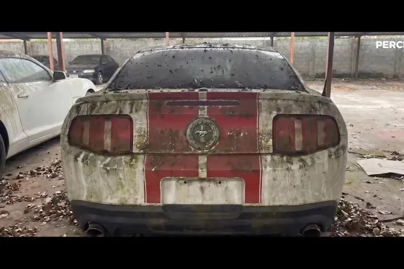 Auction Gamble Pays Off: A Rotting S197 Mustang Reborn With a Coyote V8 Swap