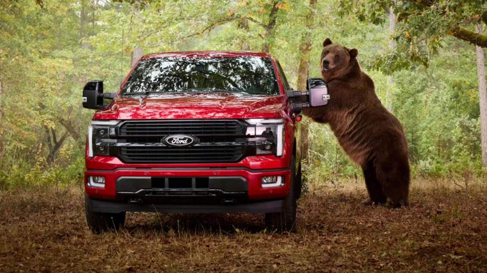 Ford, Ford F-150, Ford Chooses The Bear To Test The F-150 Security Package