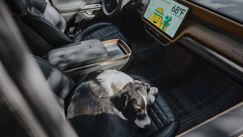 The Rivian R2's 'Pet Mode' Now Lets You Monitor Your Dog With A Live Stream