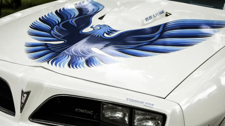 What Kind Of Bird Did Pontiac Put On The Hood Of Trans-Ams?