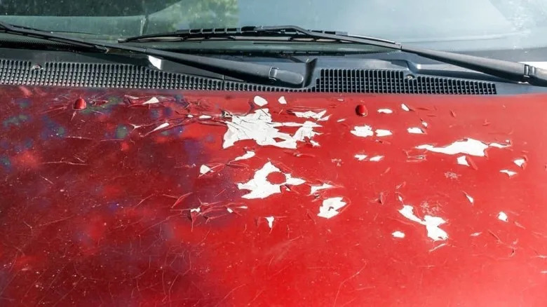 Can A Hot Day Really Inflate Your Car's Vinyl Wrap? Here's What To Know