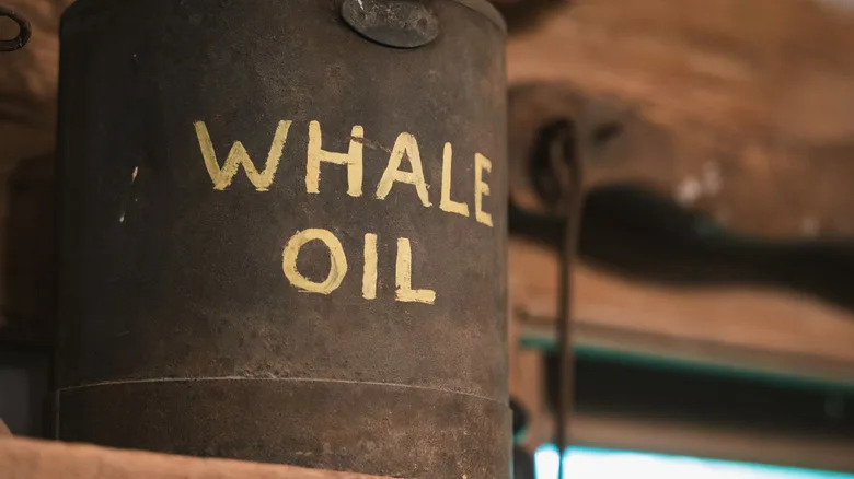 How Whale Oil Helped Cars Survive Before Modern Lubricants