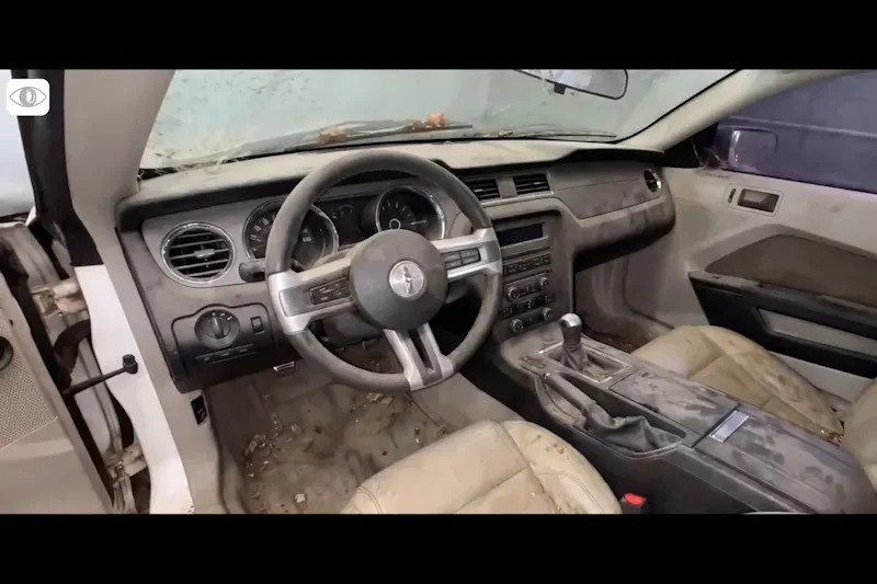 Auction Gamble Pays Off: A Rotting S197 Mustang Reborn With a Coyote V8 Swap