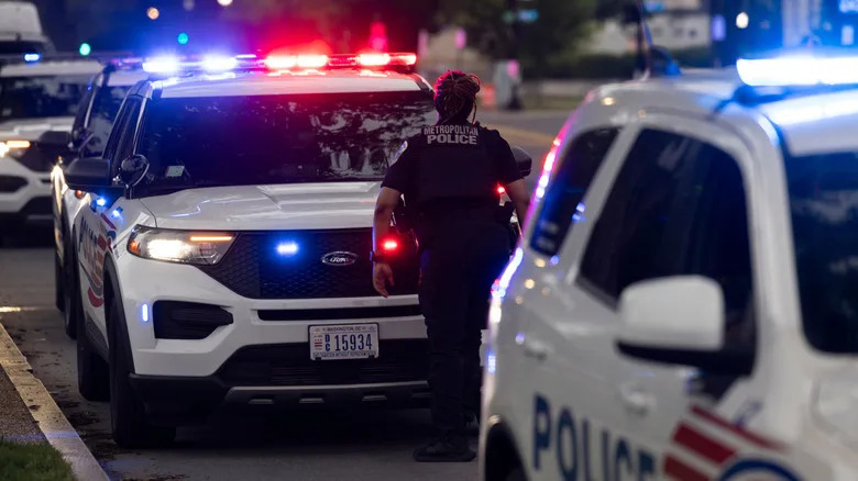 The Key Differences Between American And European Police Cars