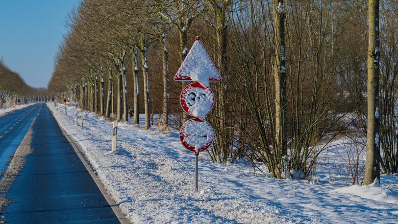 Here's How Cars Recognize Traffic Signs (And Why It Doesn't Always Work)