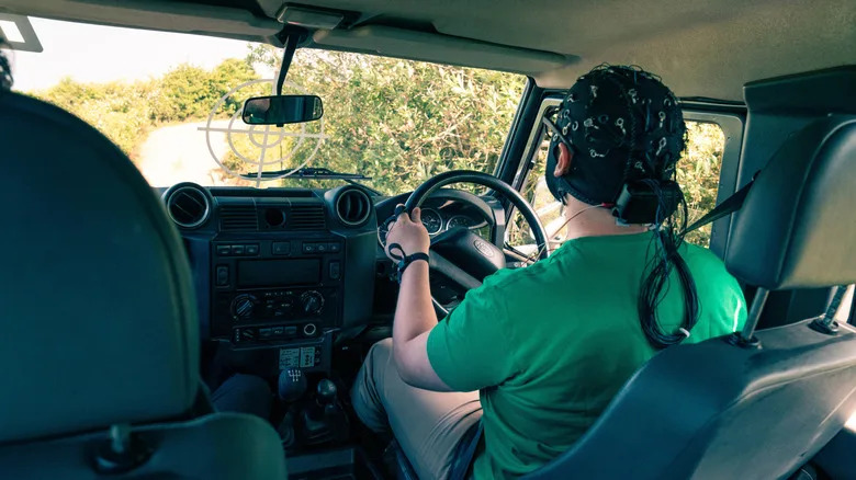 Science Explains Why Driving Can Feel So Thrilling