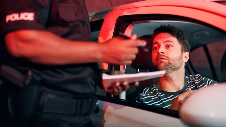 Everything That Cops See When They Run Your Plates