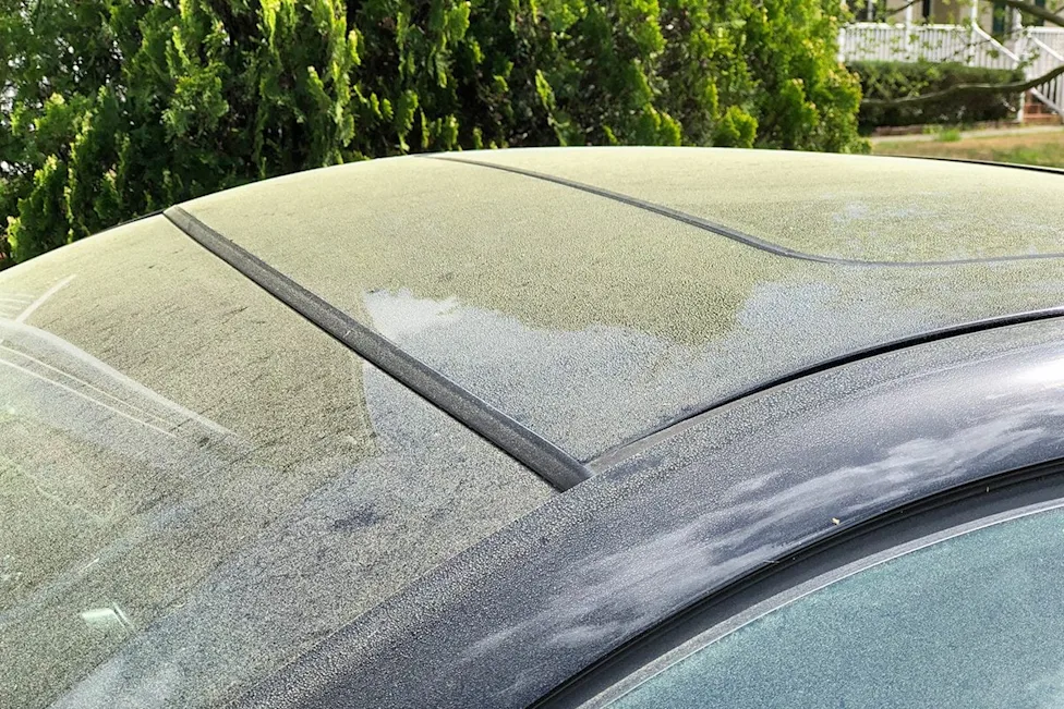 Is Your Car Allergic to Pollen, Too? How to Deal With Pollen On and In Your Car