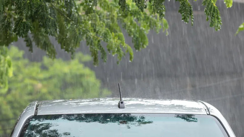 Raindrops Can Cause 9,000-Volt Zaps That Eat Through Your Car's Paint