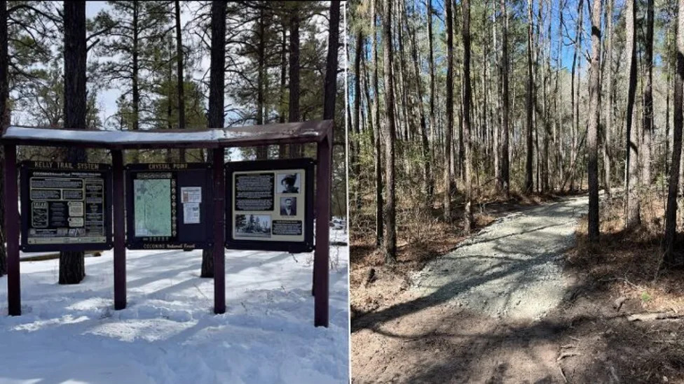 Polaris Donates $200k To Support OHV Trail Access