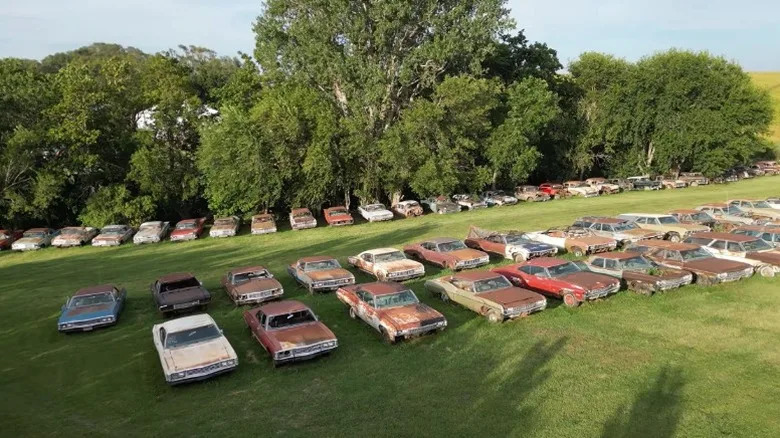 A Developer Bought The Land Around Them, Now 350 Antique Chevys Are Up For Sale