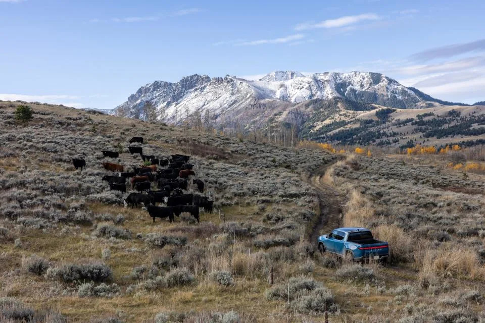 Rivian SUV And Truck Win U.S. News Best EVs For Off-Roading