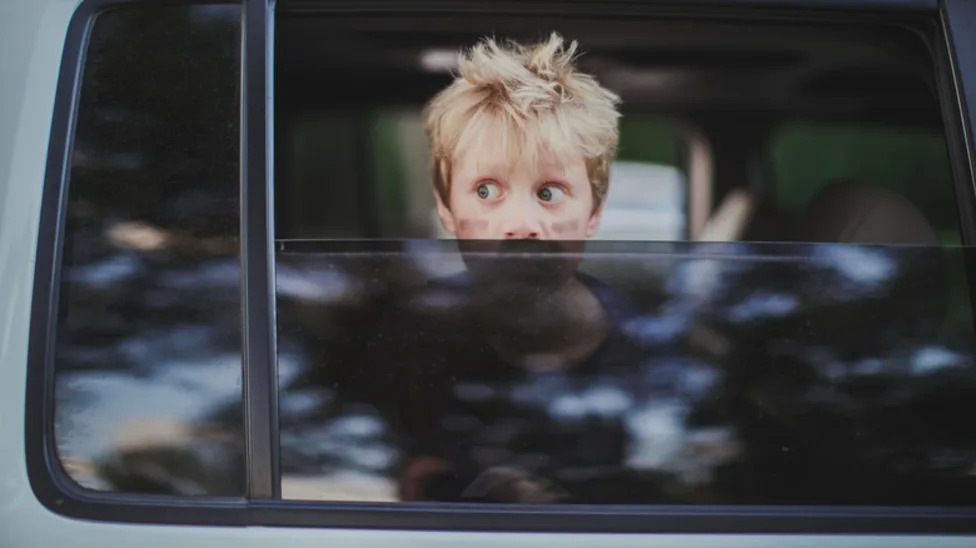 Car's Automatic Windows Stopped Working? This Could Be The Easy Fix