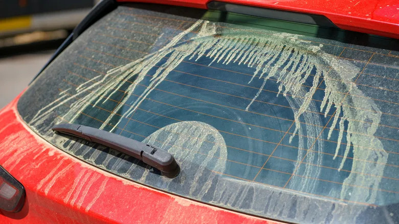 There's A Good Reason Why You Should Immediately Wash Pollen Off Your Car