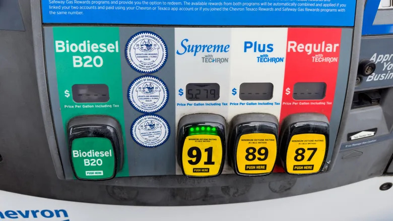 B5 Vs. B20 Biodiesel: What's The Difference Between These Fuel Types?
