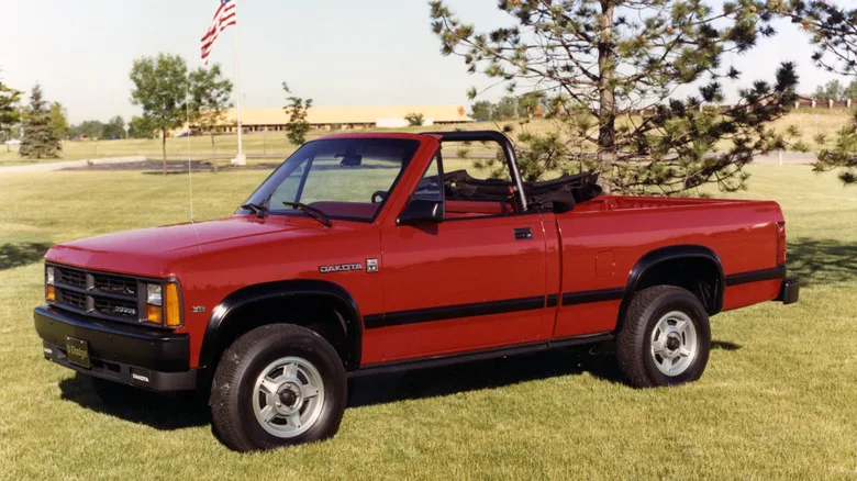 Which Niche Micro-Segment Needs To Make A Comeback?