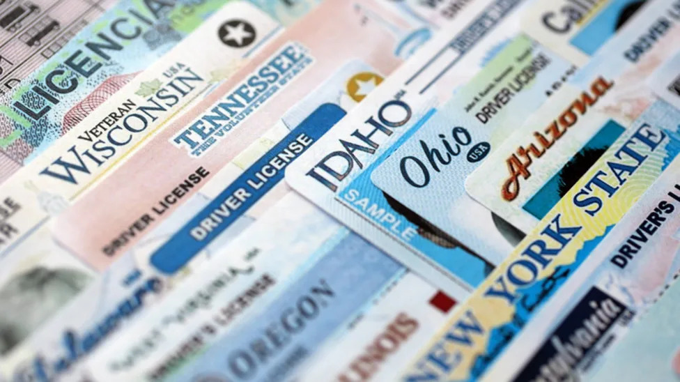 Revoked Vs Suspended Licenses: What Are The Differences?