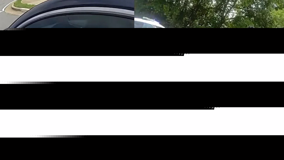 Georgia Woman Refused To Roll Down Window, Hand Over License, or Cooperate. Then She Drove Away, Police Say
