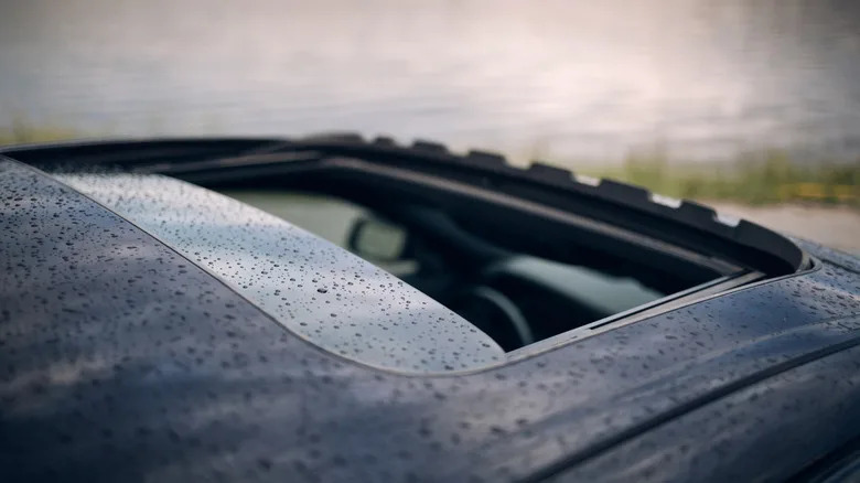 Why You Should Clean Your Sunroof Drains Before They Clean Out Your Wallet