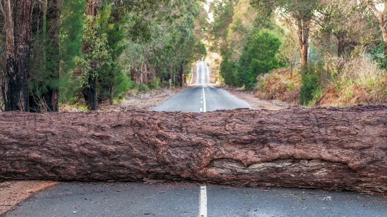 Here's What It Means If You See A Pink Road Sign