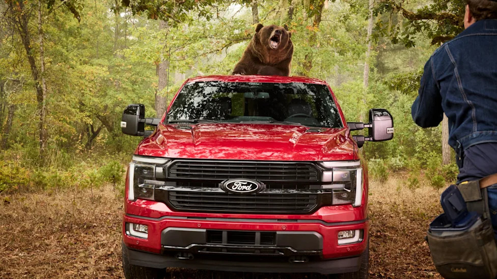 Ford Hired An 800-Pound Bear To Test F-150 Security