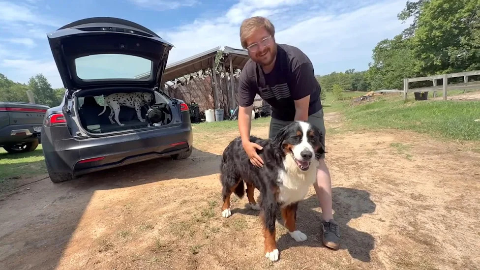 In 2026, every automaker needs a real pet mode before parked cars turn deadly