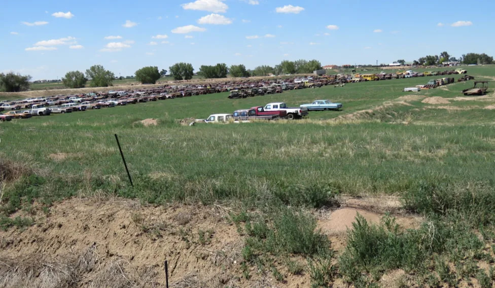 Nearly 300 Cars Are Heading to a Colorado Field Sale, and the 50-Cent Opening Bid Is the Least Interesting Number