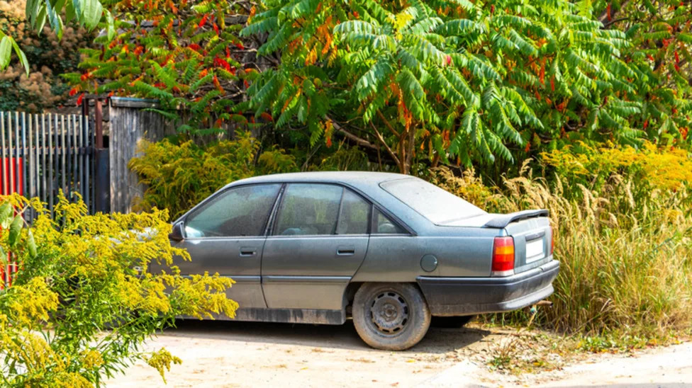If Your Car Could Speak, What Would It Say About You?